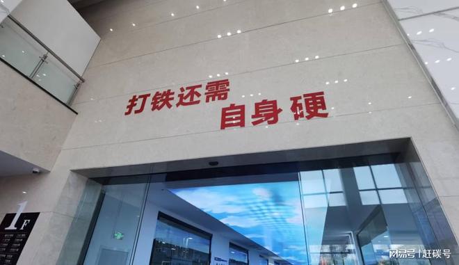 悦达集团接盘润阳股份始末…… 悦达集团接盘润阳股份始末……