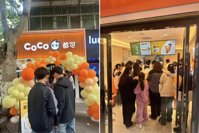 加盟风向变了，创业者集体涌向实力“老品牌”