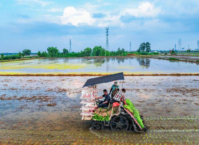 积极服务“三夏”农业生产 供销力量频出招 积极服务“三夏”农业生产 供销力量频出招