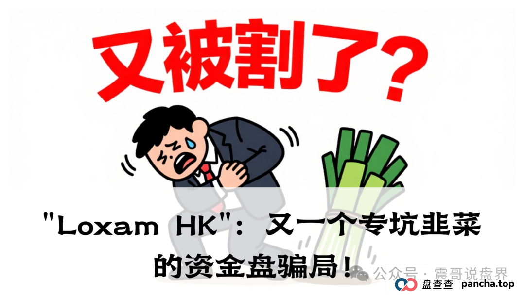 震哥带你扒皮"Loxam HK":又一个专坑韭菜的资金盘骗局! 震哥带你扒皮"Loxam HK":又一个专坑韭菜的资金盘骗局!