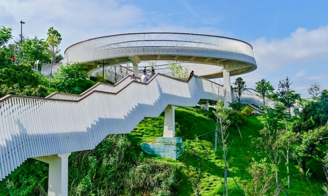 深圳、东莞,联手干了件大事! 深圳、东莞,联手干了件大事!