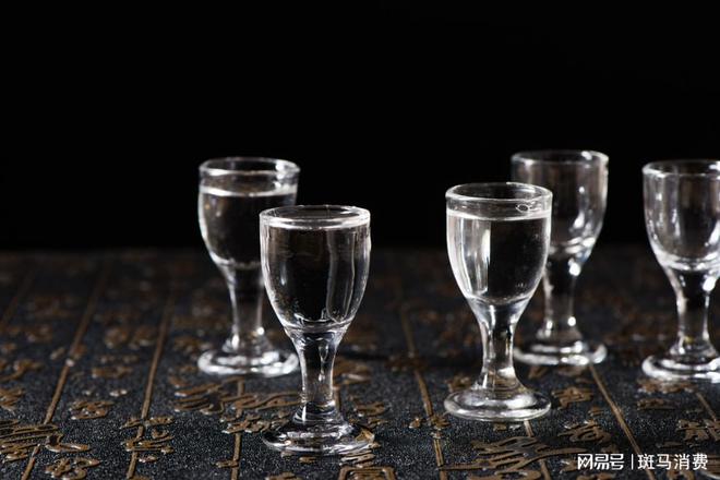 金种子酒，醉酒但没戒酒