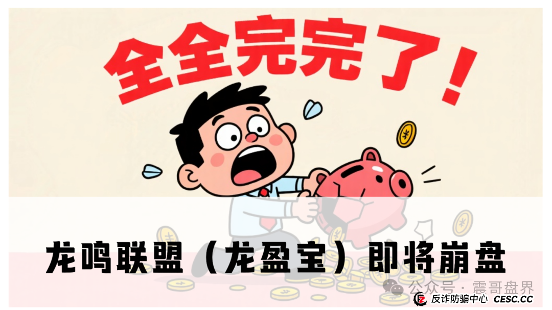 龙鸣联盟（龙盈宝）即将崩盘，震哥带你扒一扒这个专坑人的资金