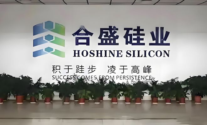 宁波430亿罗氏家族，难解扩张“后遗症”