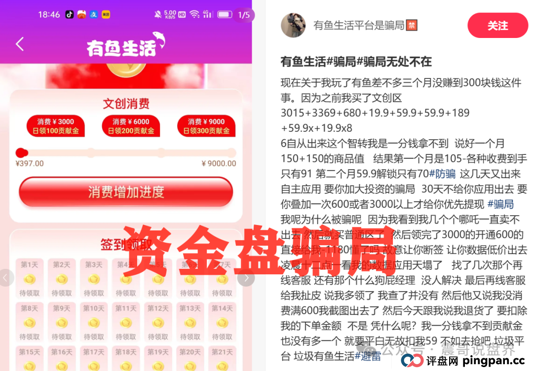 震哥独家起底:有鱼生活“消费全返”背后的资金盘陷阱! 震哥独家起底:有鱼生活“消费全返”背后的资金盘陷阱!