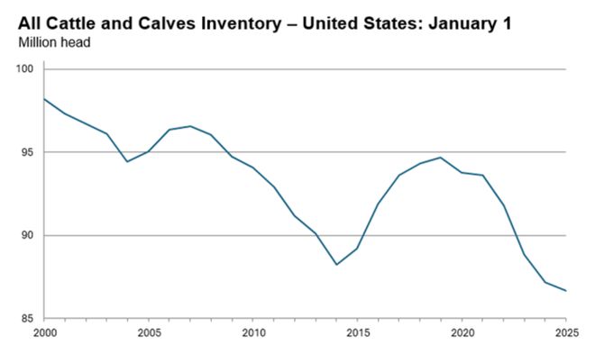 美国牛肉价格创新高 美国牛肉价格创新高