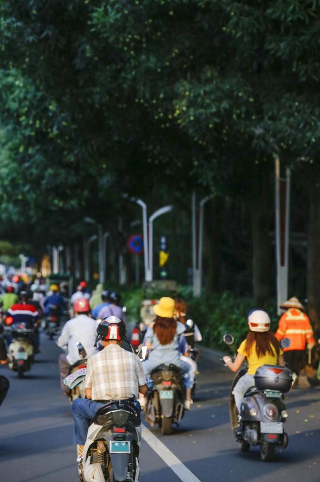 电动自行车以旧换新，为什么这三个省最积极？