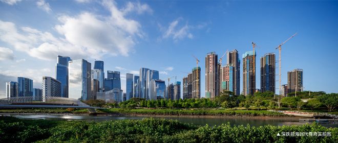 深圳前海掀158轮抢地大战，桂湾宅地溢价创纪录，高净值人群加速布局