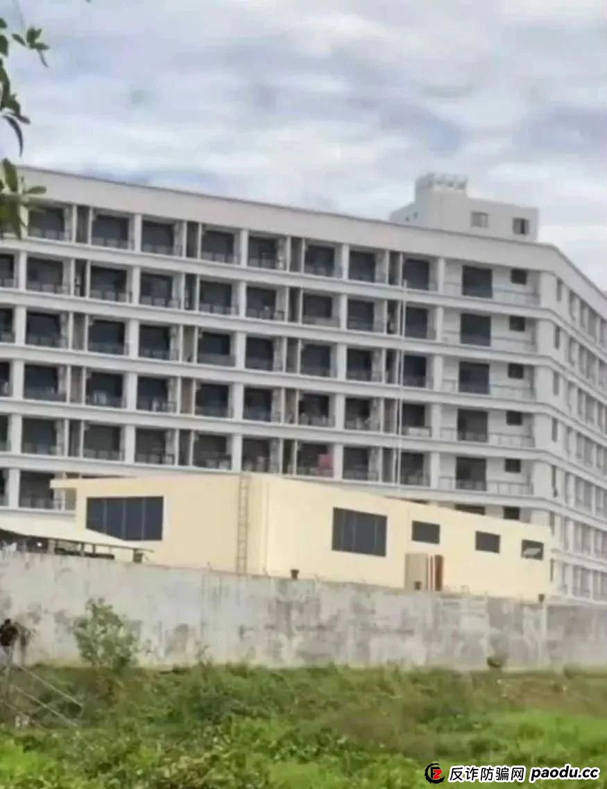 场面震撼!柬埔寨电诈园区上演集体大逃亡! 场面震撼!柬埔寨电诈园区上演集体大逃亡!