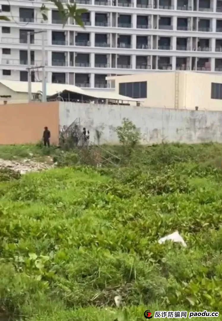 场面震撼!柬埔寨电诈园区上演集体大逃亡! 场面震撼!柬埔寨电诈园区上演集体大逃亡!