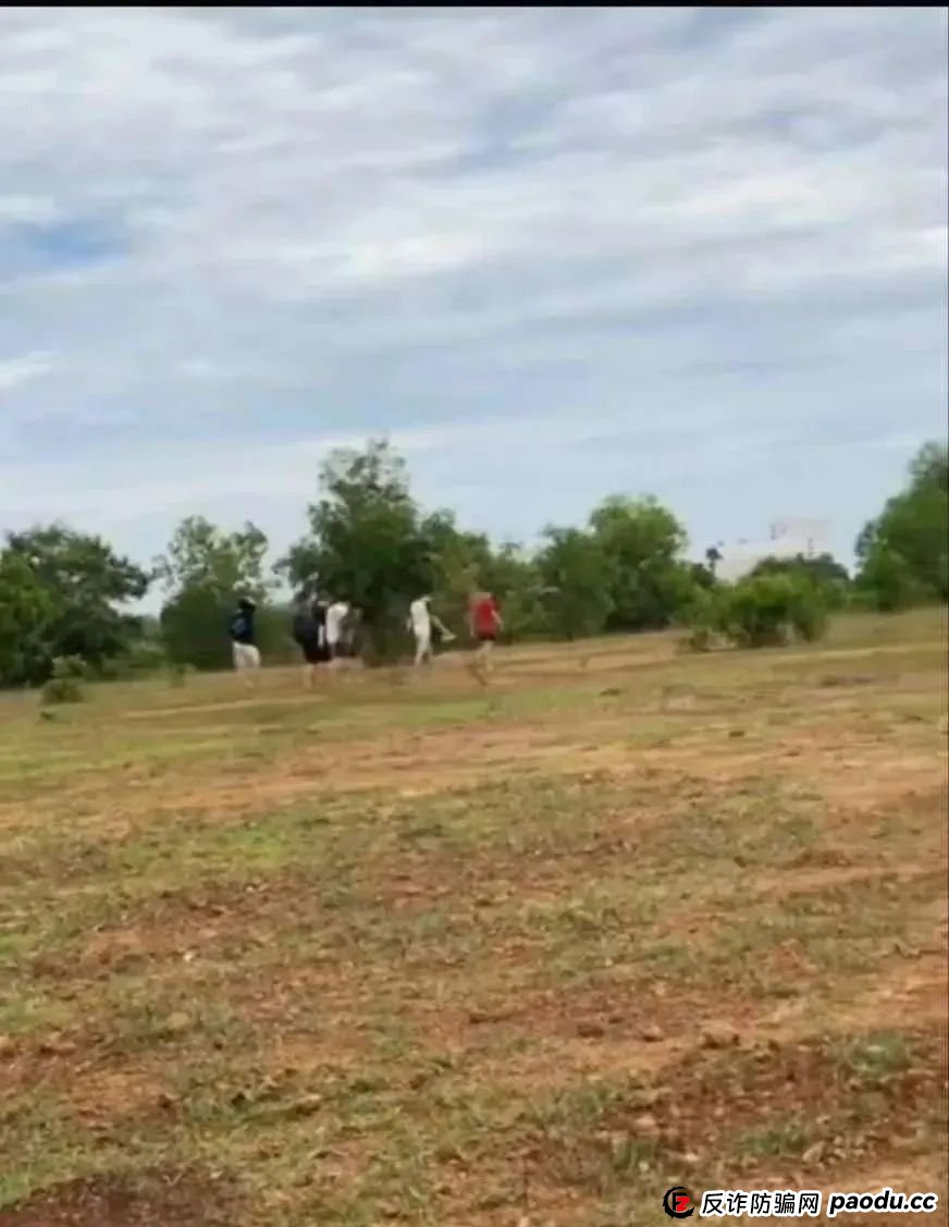 场面震撼!柬埔寨电诈园区上演集体大逃亡! 场面震撼!柬埔寨电诈园区上演集体大逃亡!