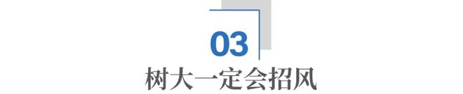 马斯克,为什么非要从政? 马斯克,为什么非要从政?