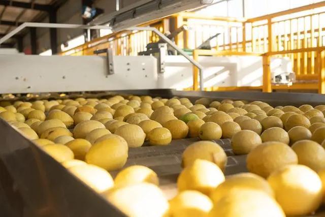 “身价暴涨”500%，狂卖10亿杯的超级单品，带飞一颗“酸果”