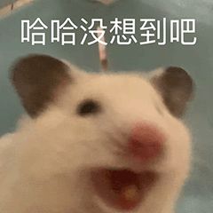 因为白菜价内存,长江存储在美国狂扁美国人。 因为白菜价内存,长江存储在美国狂扁美国人。