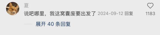 「窝囊旅游三件套」,拯救多少打工人? 「窝囊旅游三件套」,拯救多少打工人?