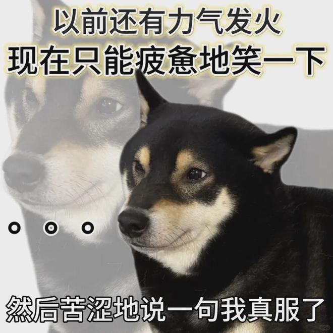 「窝囊旅游三件套」,拯救多少打工人? 「窝囊旅游三件套」,拯救多少打工人?