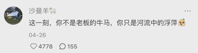 「窝囊旅游三件套」,拯救多少打工人? 「窝囊旅游三件套」,拯救多少打工人?