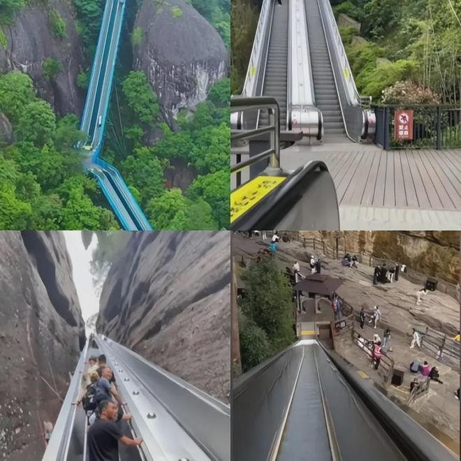 「窝囊旅游三件套」,拯救多少打工人? 「窝囊旅游三件套」,拯救多少打工人?