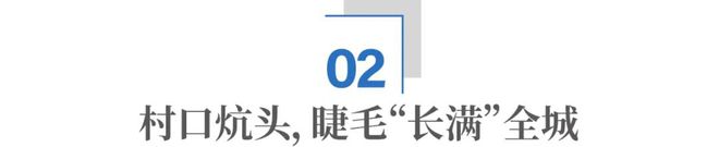 全球卡姿兰大眼睛“制造基地”：山东这个小城，凭什么？