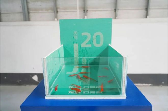 探访央企高质量发展，揭秘打造“好房子”的“好材料”