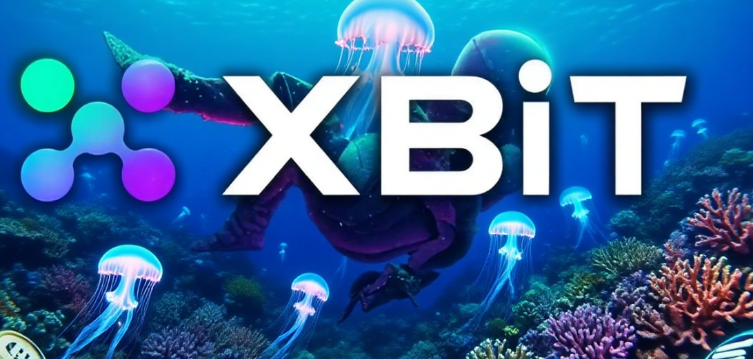 为什么XBIT正在重新定义加密交易的未来 为什么XBIT正在重新定义加密交易的未来