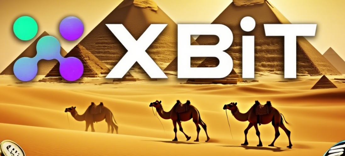 XBIT 交易所:重新定义去中心化交易的透明与高效 XBIT 交易所:重新定义去中心化交易的透明与高效