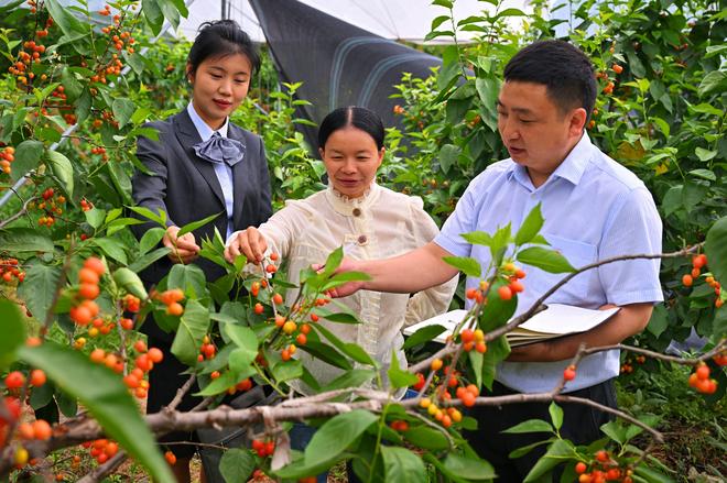村镇银行越来越少 中小金融机构改革化险持续推进 村镇银行越来越少 中小金融机构改革化险持续推进