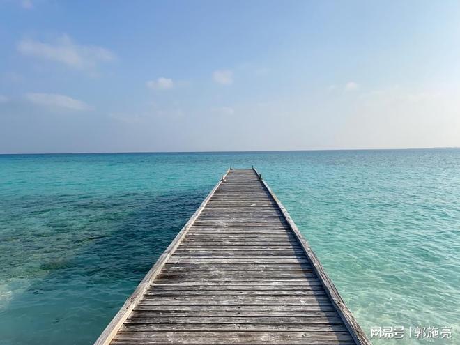 宇树科技启动IPO上市辅导，“杭州六小龙”到底值多少钱？