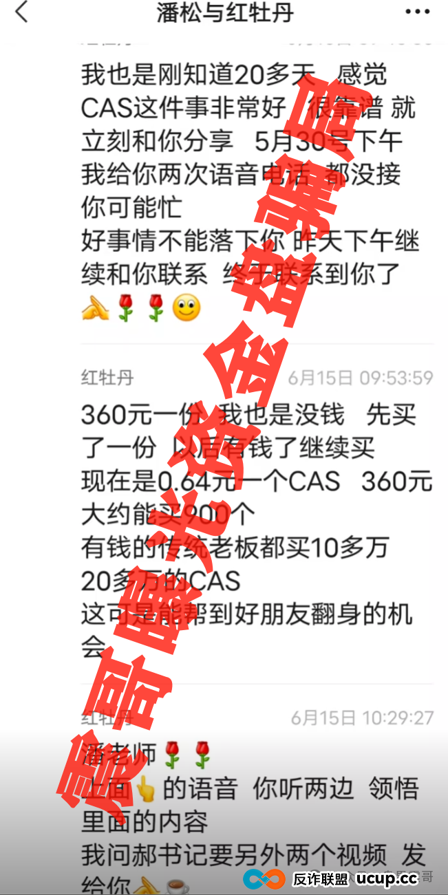 CAS币骗局大起底：震哥带你扒皮＂暴富＂陷阱