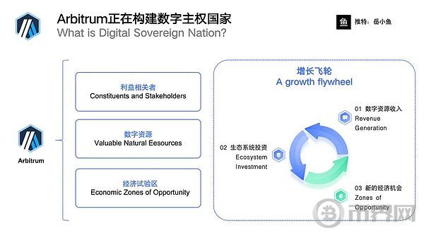 Web3行业的终局是构建一个网络国家？
