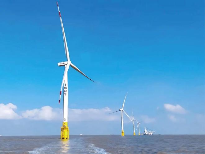 廿载青山志，看沪农商行如何修炼绿色金融内功