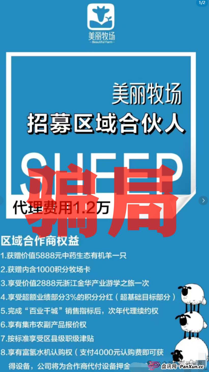 羊霸天美丽牧场：震哥带你扒一扒这个“云养羊”的坑！
