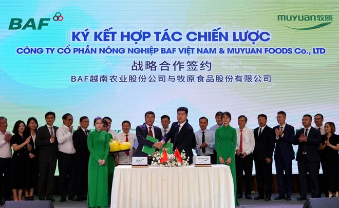 2700亿河南养猪大户,慷慨分红50个亿 2700亿河南养猪大户,慷慨分红50个亿