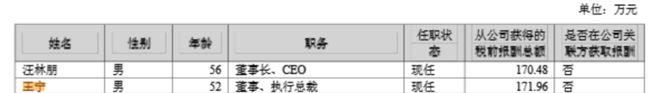 居然智家新任“掌舵人”定了，53岁王宁当选董事长并兼任CEO