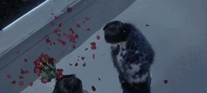 10年了,郭敬明圈的钱,还没花完 10年了,郭敬明圈的钱,还没花完