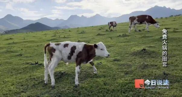 惊雷不断!无数人倾家荡产! 惊雷不断!无数人倾家荡产!