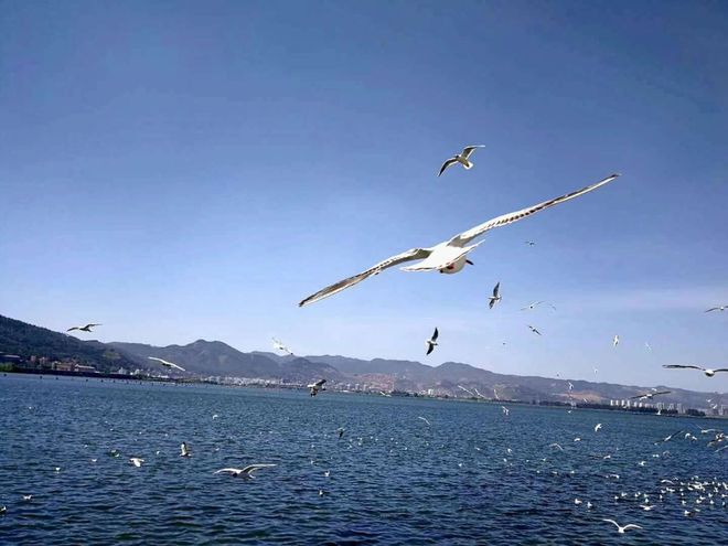 中国人寿成全球最大寿险公司! 中国人寿成全球最大寿险公司!