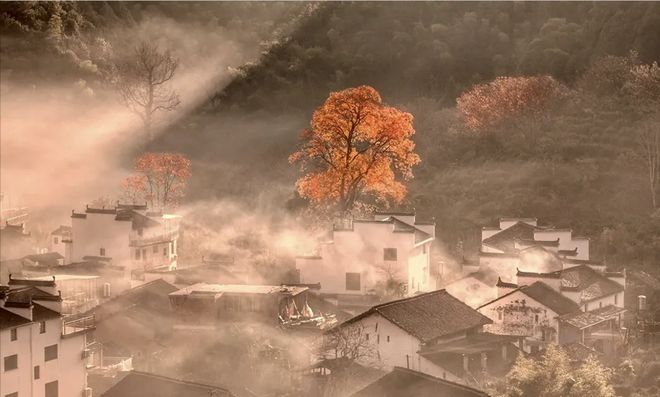 陌陌羁旅丨诗一首 陌陌羁旅丨诗一首
