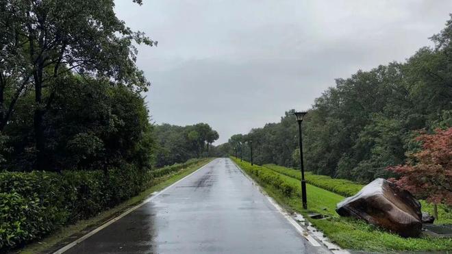 立案！光环下的清越科技，藏着多少“秘密”？