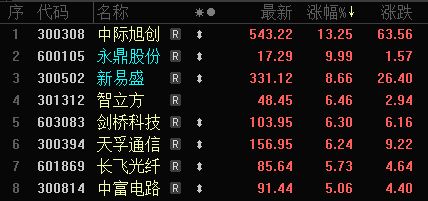 ASIC引爆算力新风口，国产自主可控提速，CPO等概念震荡反弹