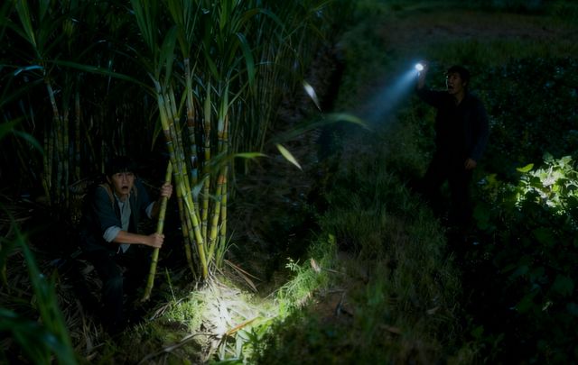 在城里憋疯的中产，开始捧红“偷甘蔗农场”