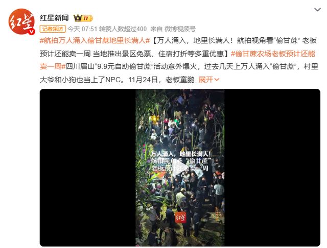 在城里憋疯的中产，开始捧红“偷甘蔗农场”