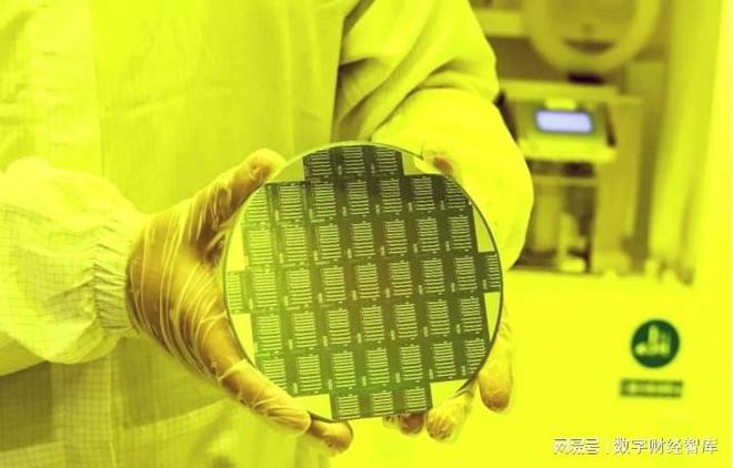 785亿颗芯片！中国海关重要数据公布，老美苦笑：中国市场不买了