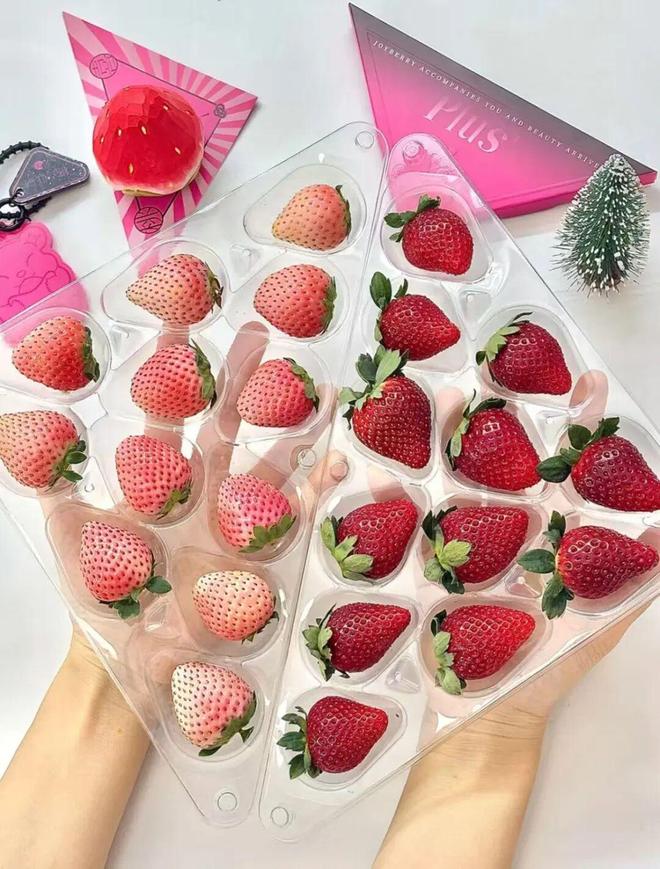 一颗草莓生万物：桃喜莓莓如何以全产业链创新重塑农业品牌价值？