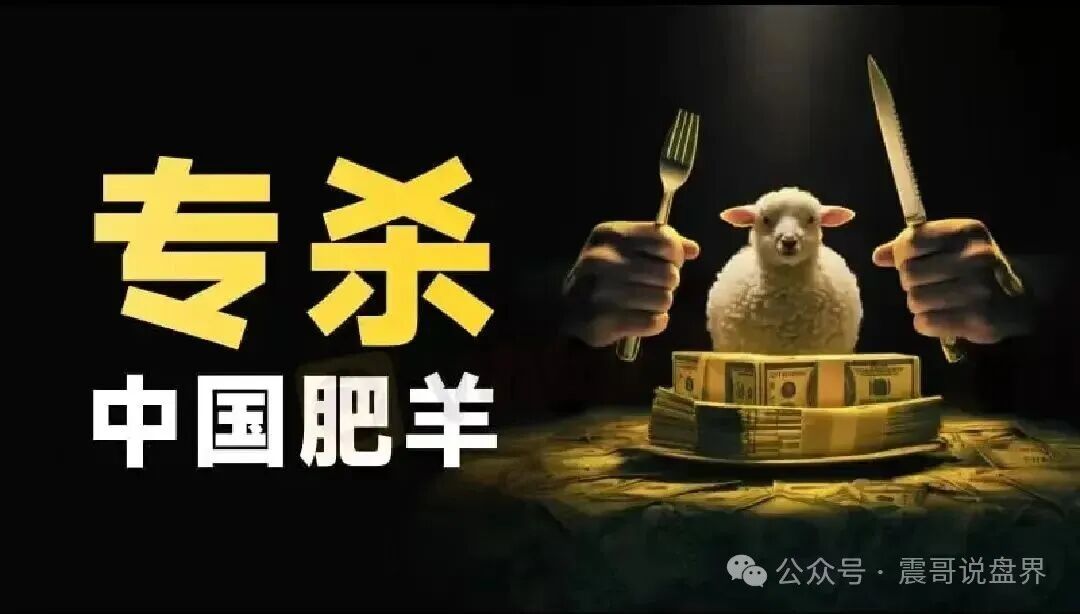 CodexField资金盘骗局,操盘团队之前干洗钱的,看见远离 CodexField资金盘骗局,操盘团队之前干洗钱的,看见远离