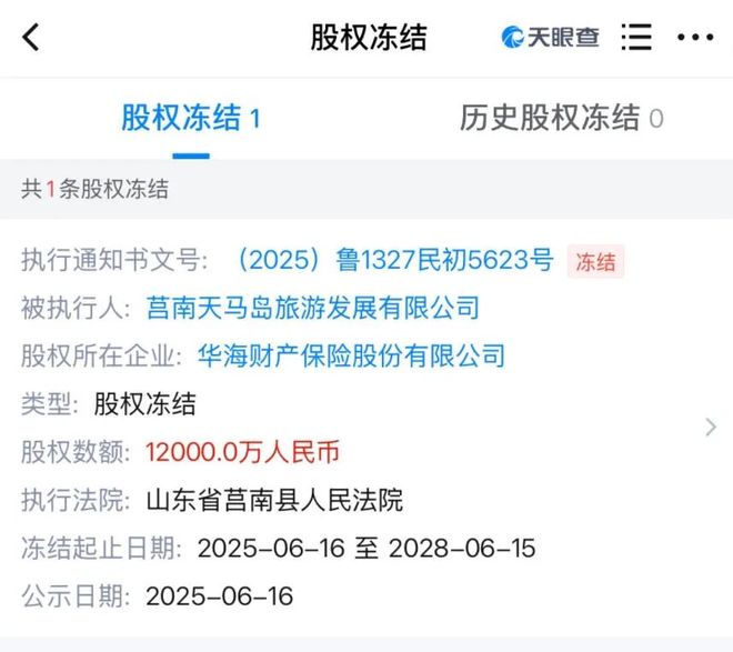 华海财险股权变局：曾借虚假股东大会退场的诚源盐化拟回归，公司信批或存“瑕疵”