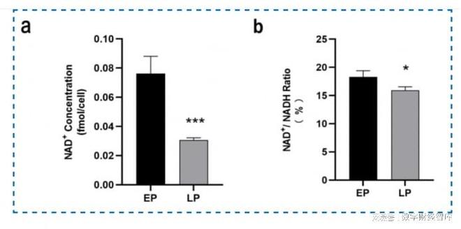 千元一瓶仍断货?线粒体优化口服术“春利方”,70%被中年男买走 千元一瓶仍断货?线粒体优化口服术“春利方”,70%被中年男买走