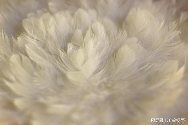 中产羽绒服“高价围城”，两千元是门槛还是困局开端？