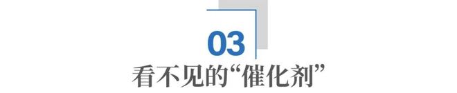 青岛的海中“炼金术”：在海洋，如何做出5500亿的大产业？