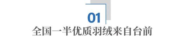 隐秘的羽绒帝国：河南小县，如何“捡”来了百亿生意？